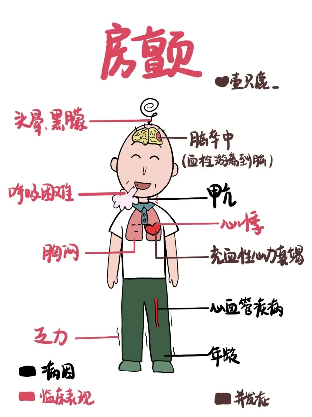 香港正牌全年资料大全