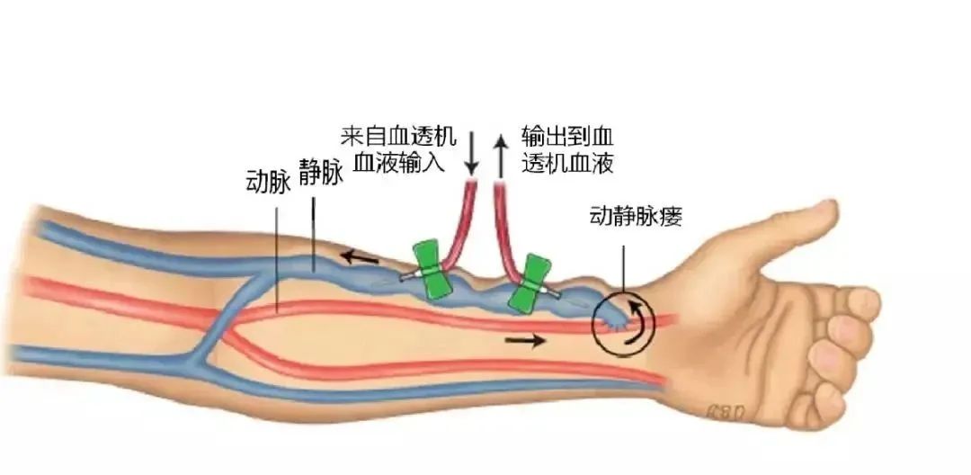 香港正牌全年资料大全