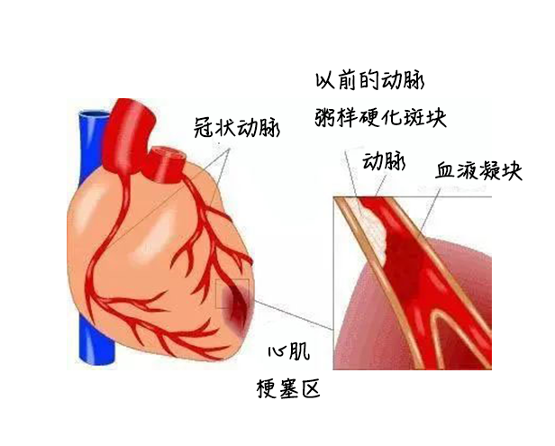 香港正牌全年资料大全